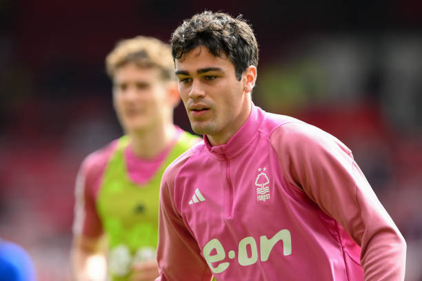 的年轻选手 的年轻选手